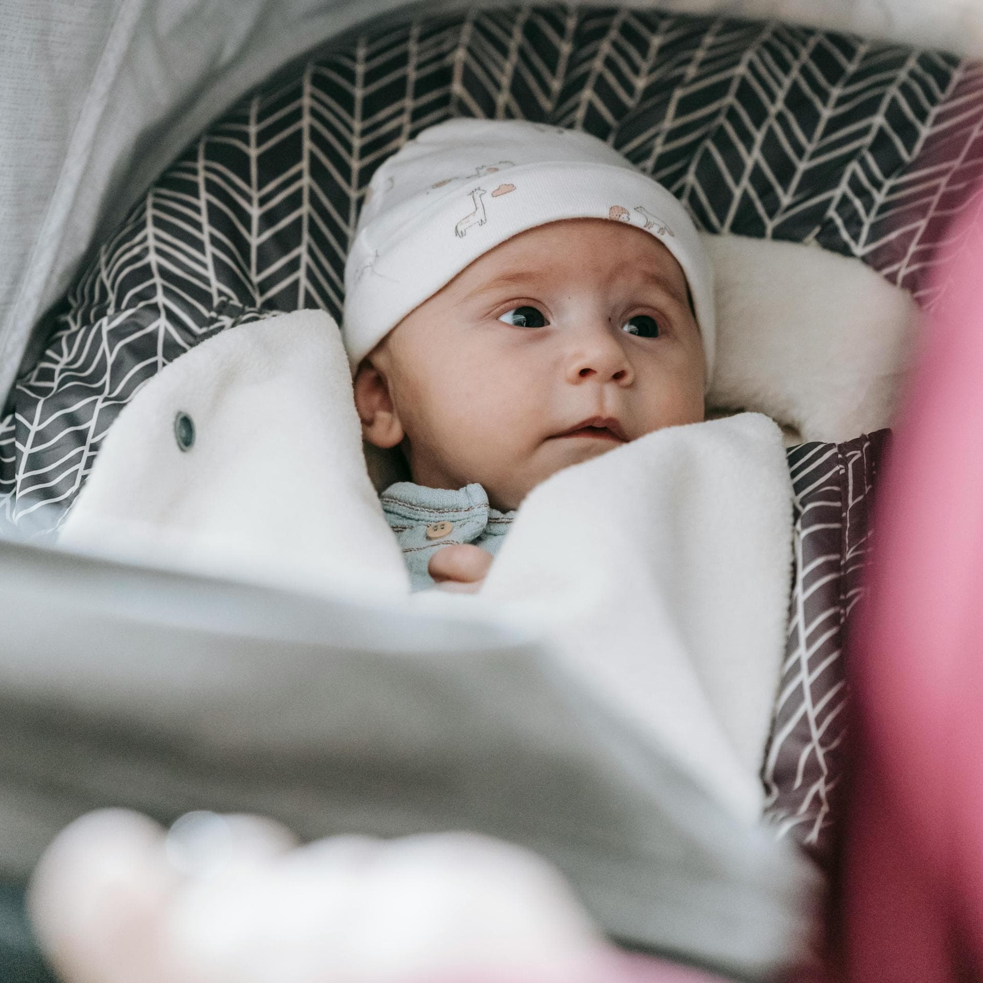 Waches Baby im Kinderwagen.