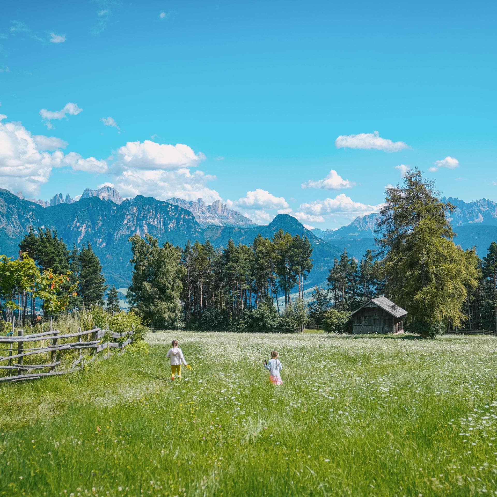 Kinder laufen über eine grüne Wiese in den Alpen.
