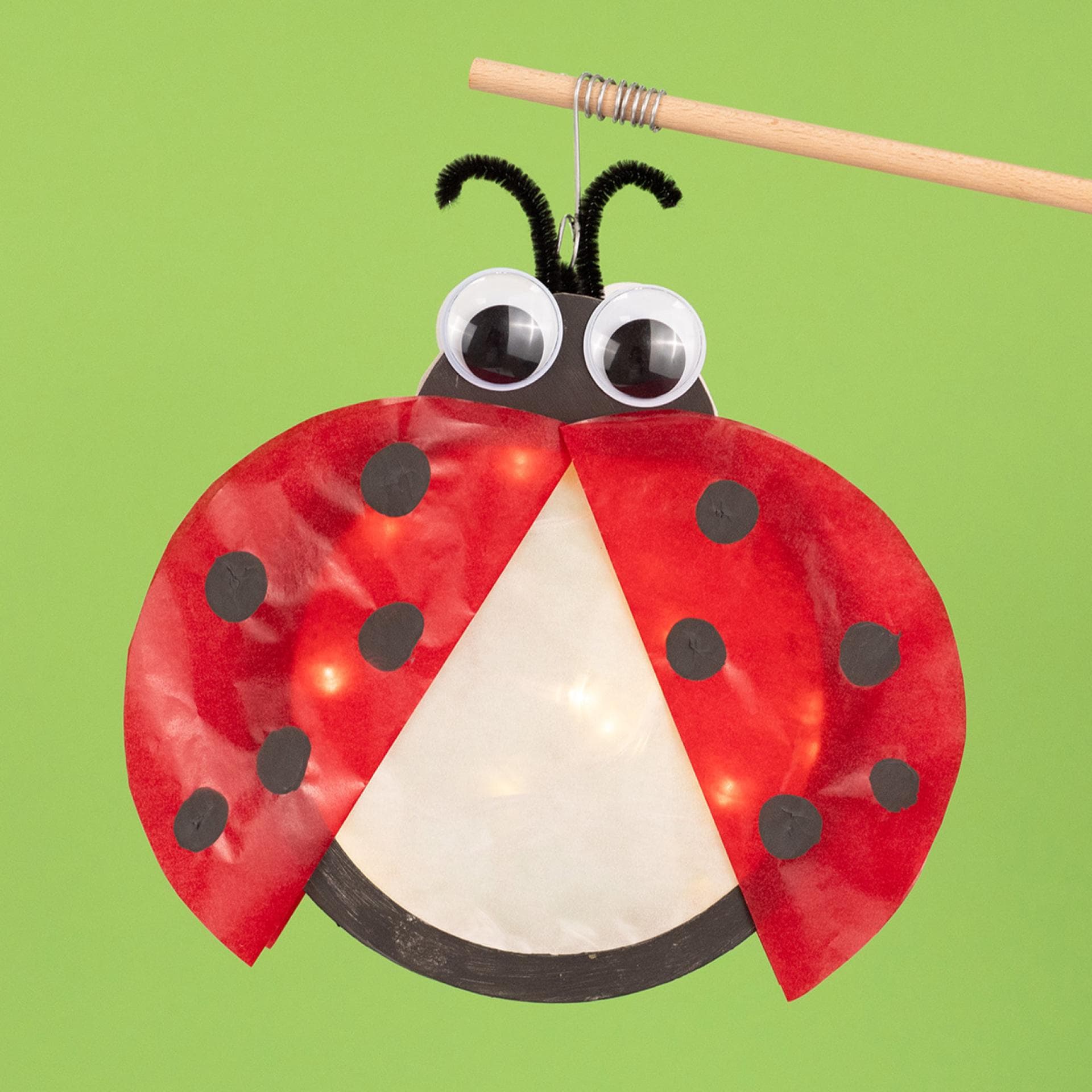 Selbst gebastelte Marienkäfer-Laterne.