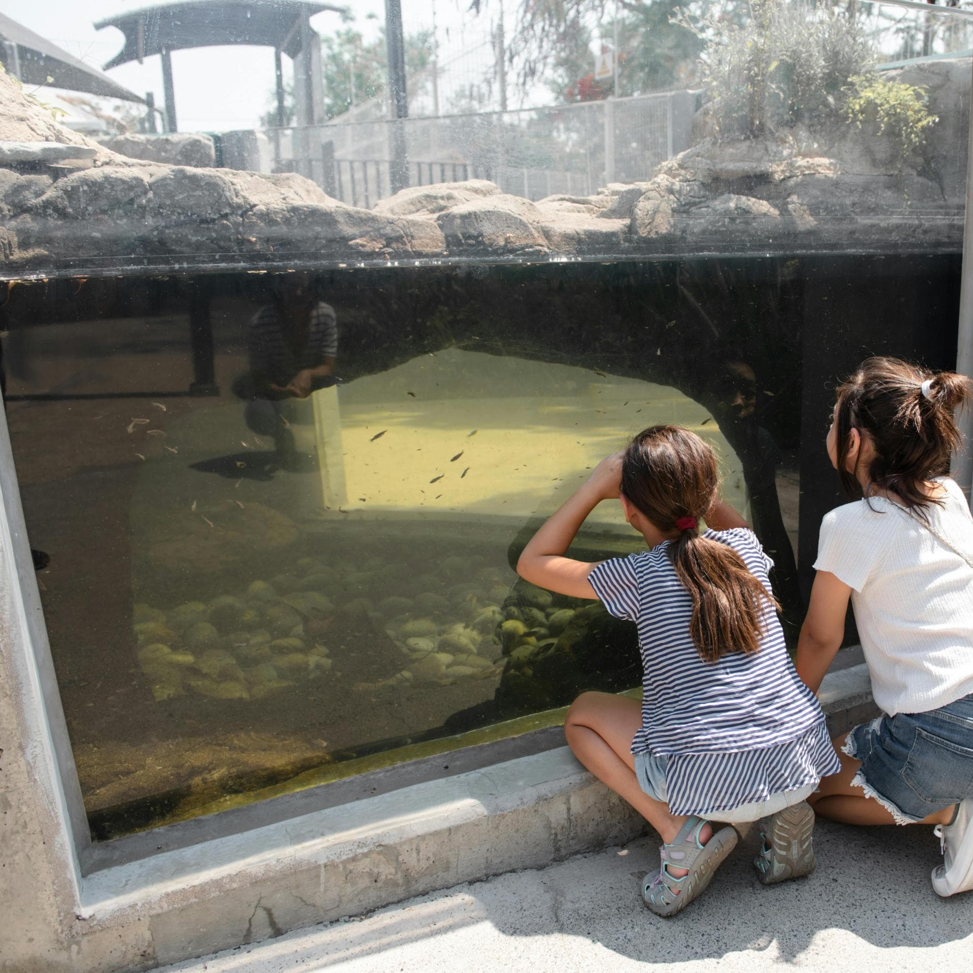 Zwei Kinder schauen durch eine Fensterscheibe in einem Zoo. 