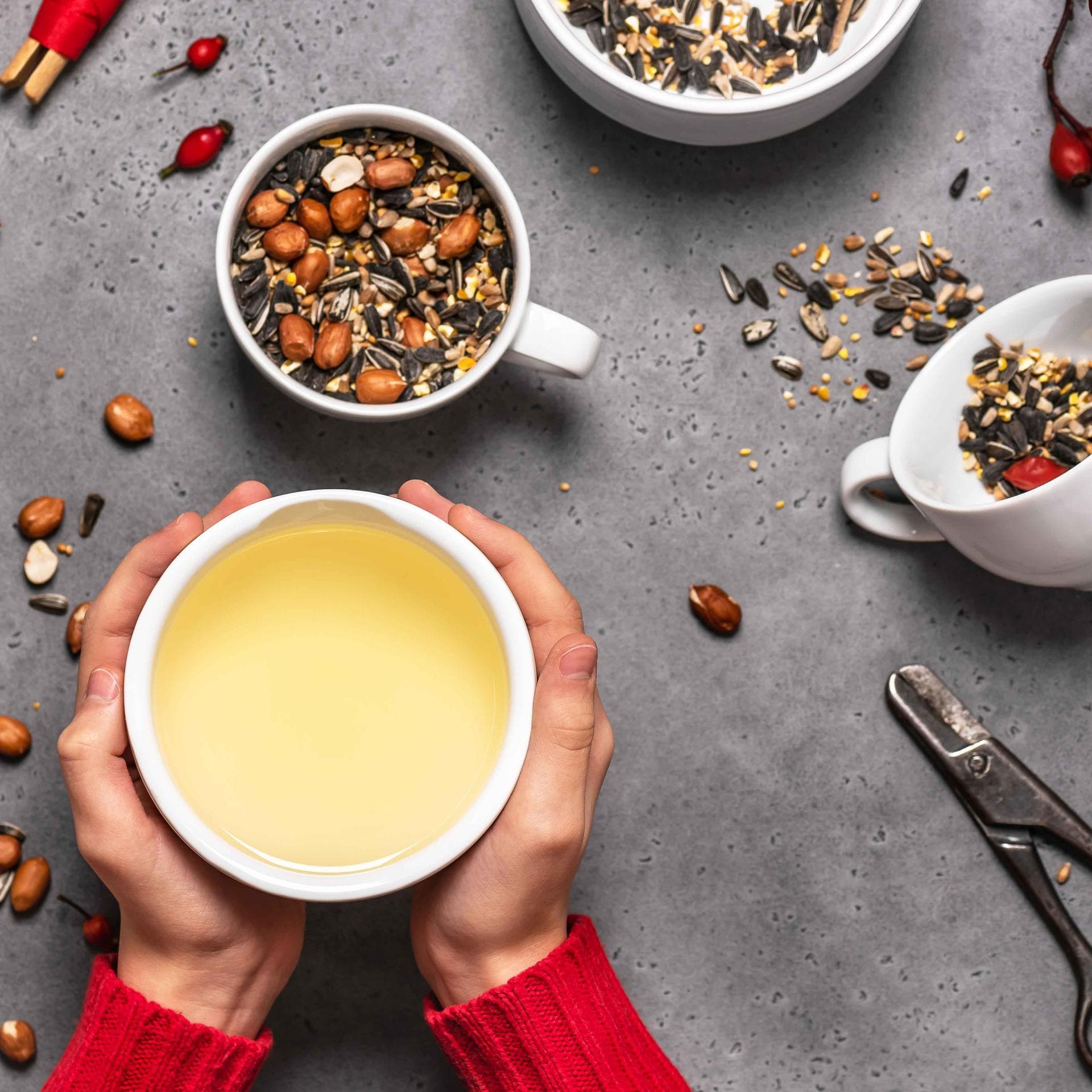 Selbstgemachtes Vogelfutter in einer Tasse