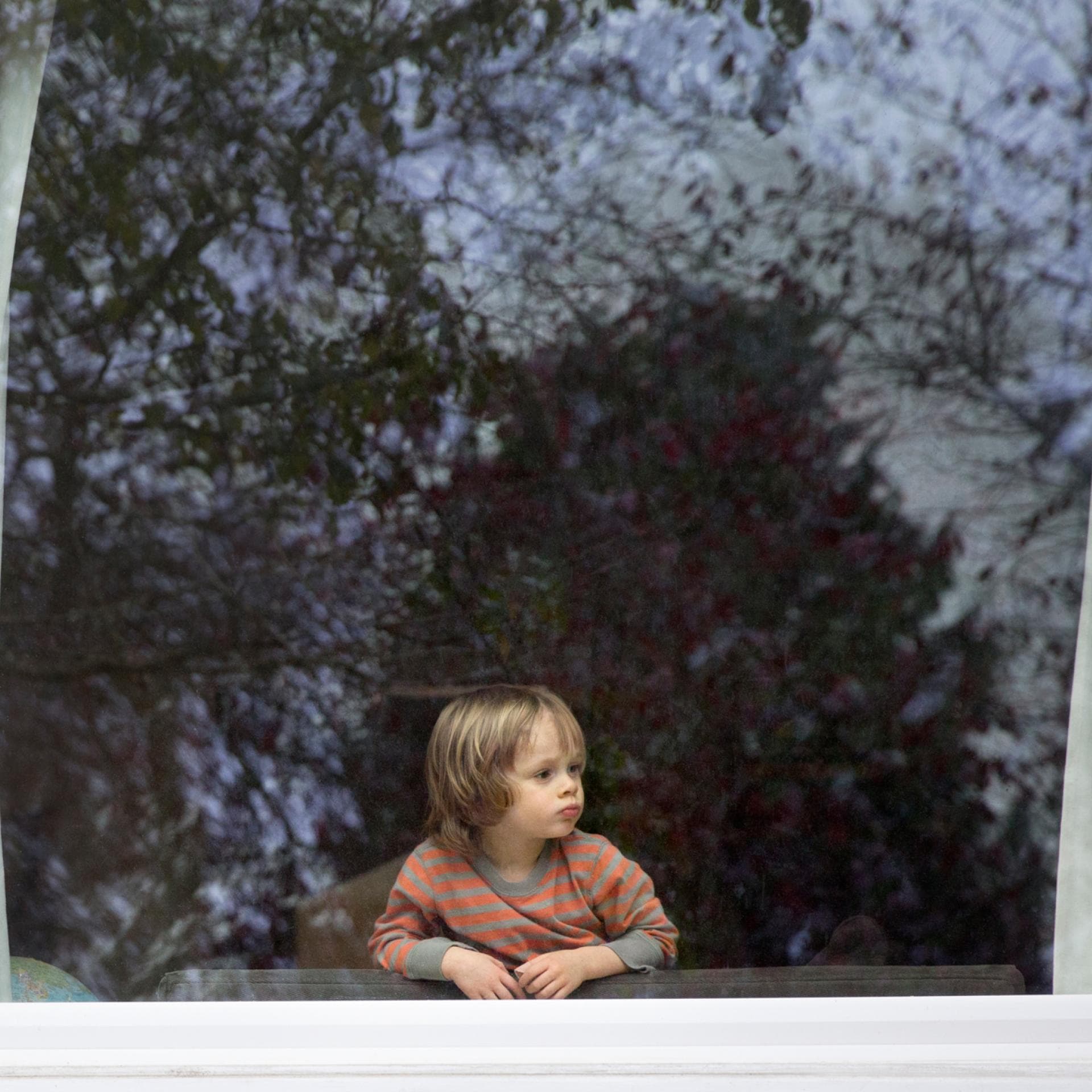 Ein kleiner Junge schaut aus dem Fenster.
