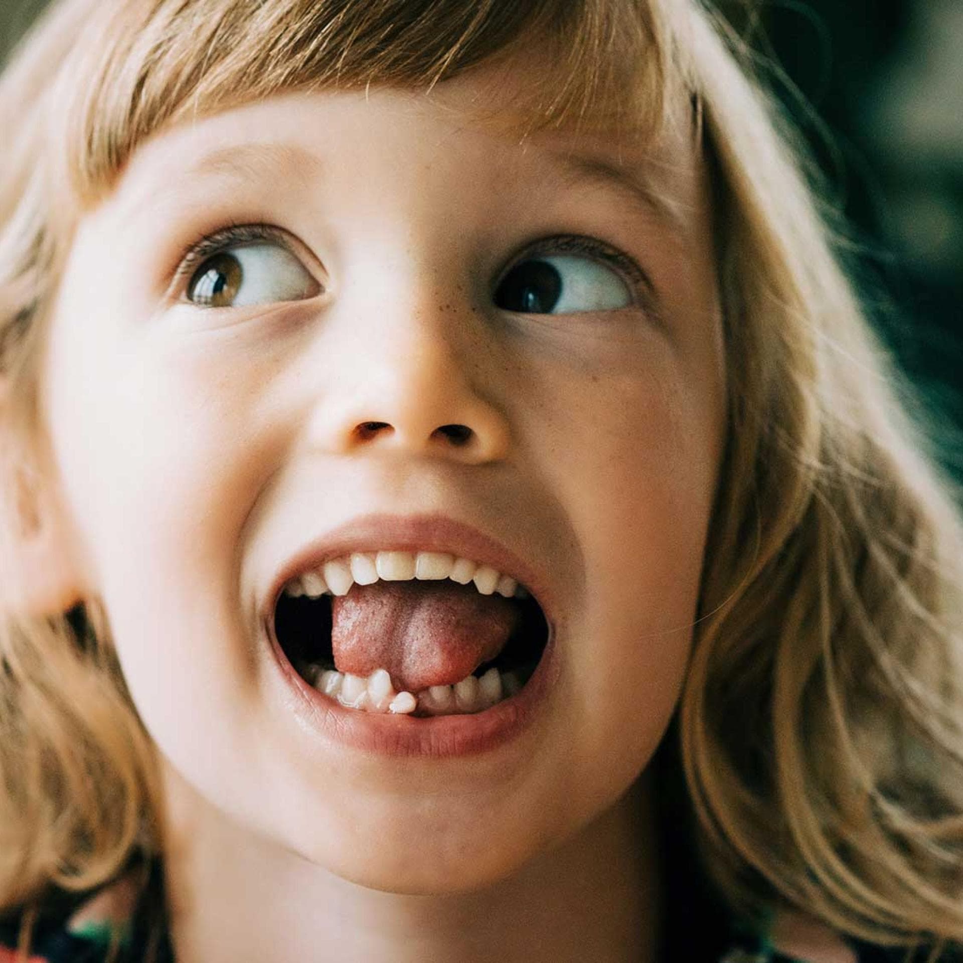 Spätestens, wenn der erste Zahn wackelt, wünschen sich Kinder eine Milchzahndose zur Aufbewahrung.
