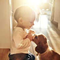 Die Regeln für den Umgang von Hund und Kind