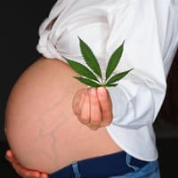 CBD in der Schwangerschaft