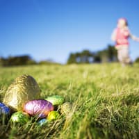 Schoko-Ostereier liegen auf der Wiese, Kind sucht Ostereeier. 