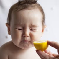 Ein kleines Baby isst eine Zitrone und verzieht das Gesicht.