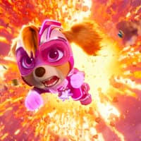 Skye von Paw Patrol