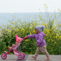 Puppenwagen sind ein wunderbares Spielzeug für Kinder.