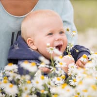 Mama und Baby mit ganz vielen Kamillenblüten.