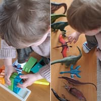 Tribu Spielzeug Abo im Text