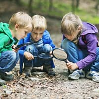 Drei Kinder beobachten die Natur mit Lupen.