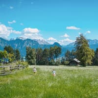 Kinder laufen über eine grüne Wiese in den Alpen.