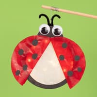 Selbst gebastelte Marienkäfer-Laterne.