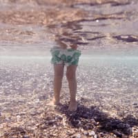Gefahr durch das Petermännchen: Das Tragen von Badeschuhen sollte in Nord- und Ostsee zur Routine werden.