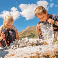 Kinder sammeln Edelsteine und Mineralien.