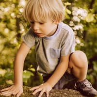 Kind klettert auf einen Ast