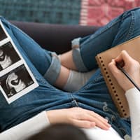 Entwicklungen und Veränderungen des Embryos während der Schwangerschaft.