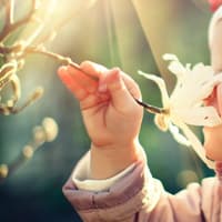 Babys haben früh einen stark entwickelten Geruchssinn 