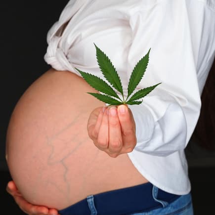 CBD in der Schwangerschaft