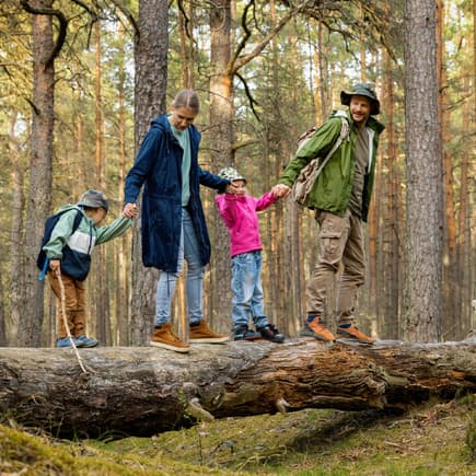 Familie läuft auf Baumstamm im Wald.