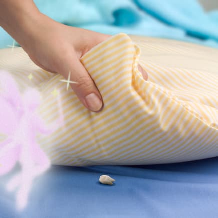 Dieser Zahn liegt unterm Kopfkissen bereit für die Zahnfee