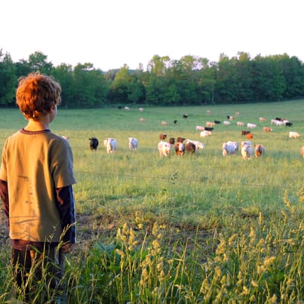Wachsen Kinder auf dem Land wirklich glücklicher auf? 