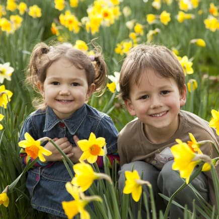 Geburtsblumen im März: Zwei Kinder sitzen in einem Narzissen-Feld. 