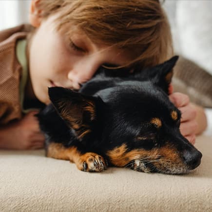 Ein Hund kuschelt mit einem Jungen. 