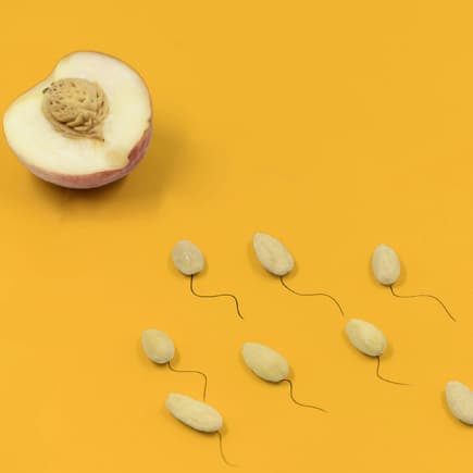 Symbolbild: Spermien schwimmen zur Eizelle.