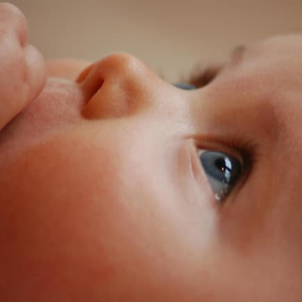 Babygesicht von der Seite