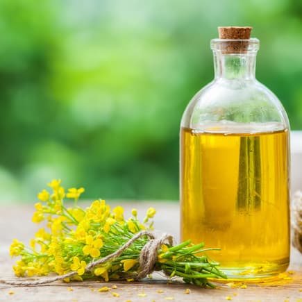 Flasche Öl und Rapsblüten.