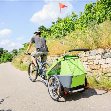 Alle Fahrradanhänger im Test rasseln durch.