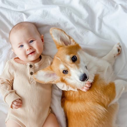Baby kuschelt mit Hundewelpen.