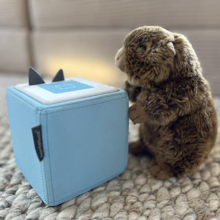 Eine Toniebox