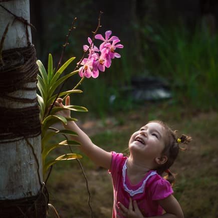 Kleines Kind bestaunt Orchidee