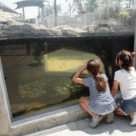 Zwei Kinder schauen durch eine Fensterscheibe in einem Zoo. 