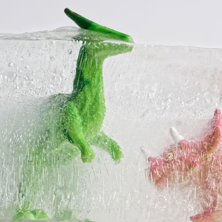 Zwei Dino-Spielfiguren sind in Eis eingefroren. 