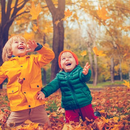 Richtig cool am Herbst: Die vielen bunten Blätter, die zum Spielen einladen ...