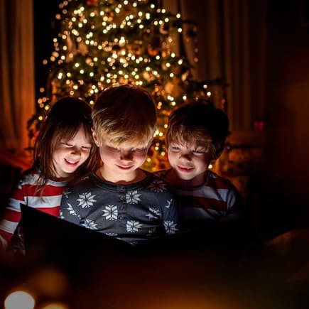 Unterm Weihnachtsbaum liest es sich besonders gemütlich.