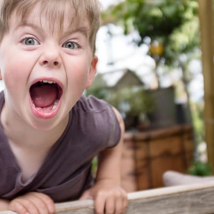 In der Trotzphase können aus kleinen Kindern schon mal kleine Wutzwerge werden. Das ist aber ganz normal.