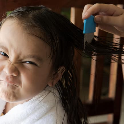 Mutter kämmt die Haare ihres Kindes mit einem Läusekamm aus.