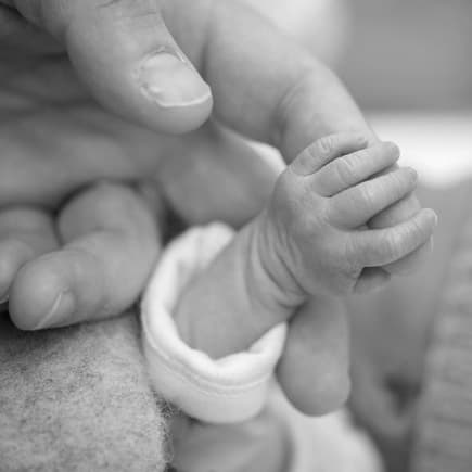 Elternhand und Babyhand.