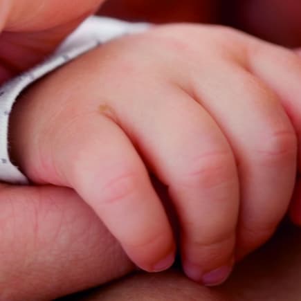 Babys müssen sich sicher und geborgen fühlen, um die Welt entdecken zu wollen.