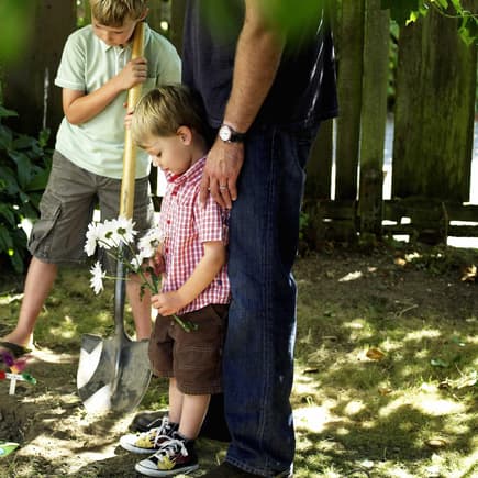 Abschied vom geliebten Haustier zu nehmen, fällt gerade Kindern besonders schwer. 