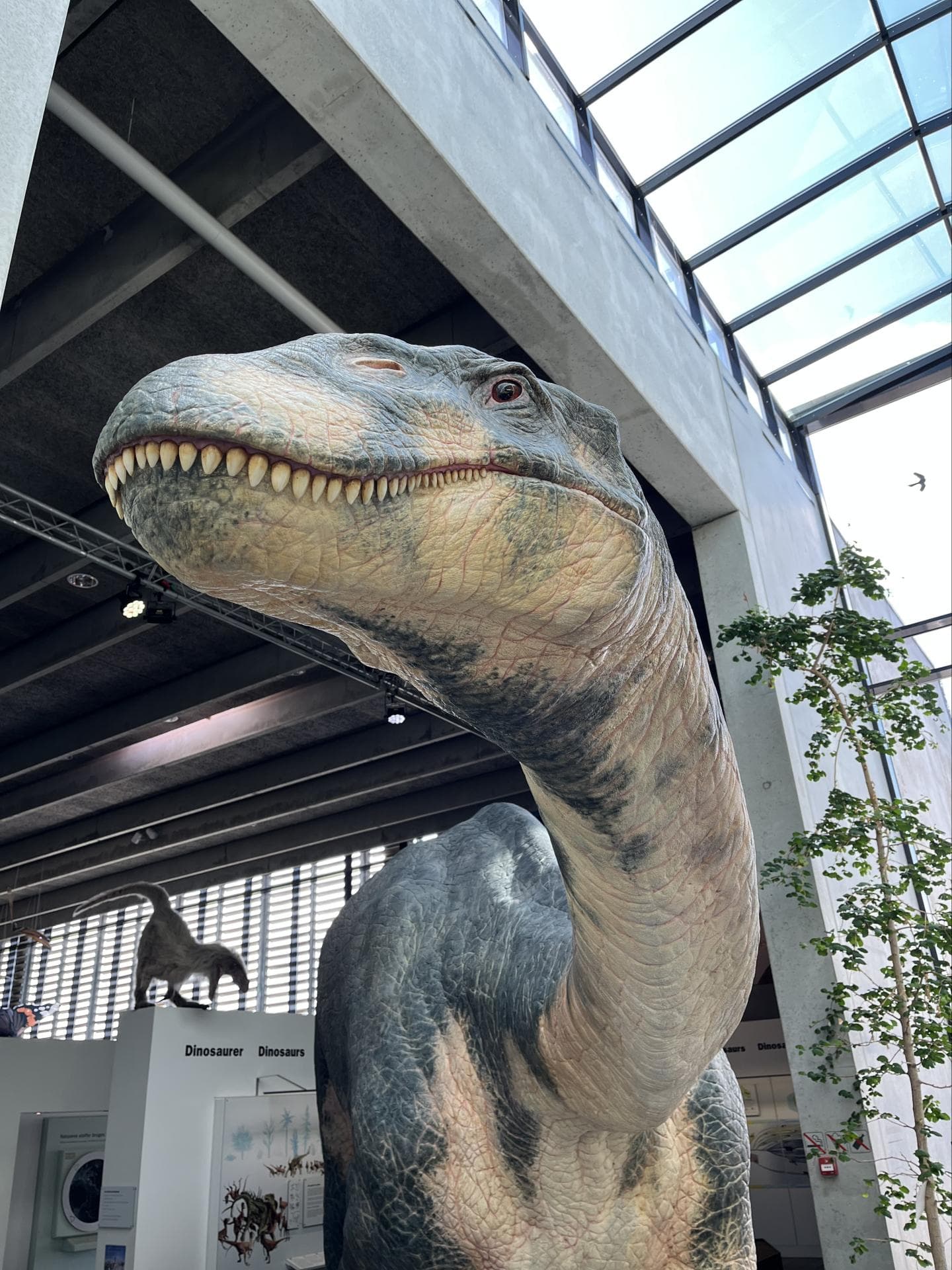 Ein lebensgroßer Dino im NaturBornholm Ein lebensgroße Dino-Statue