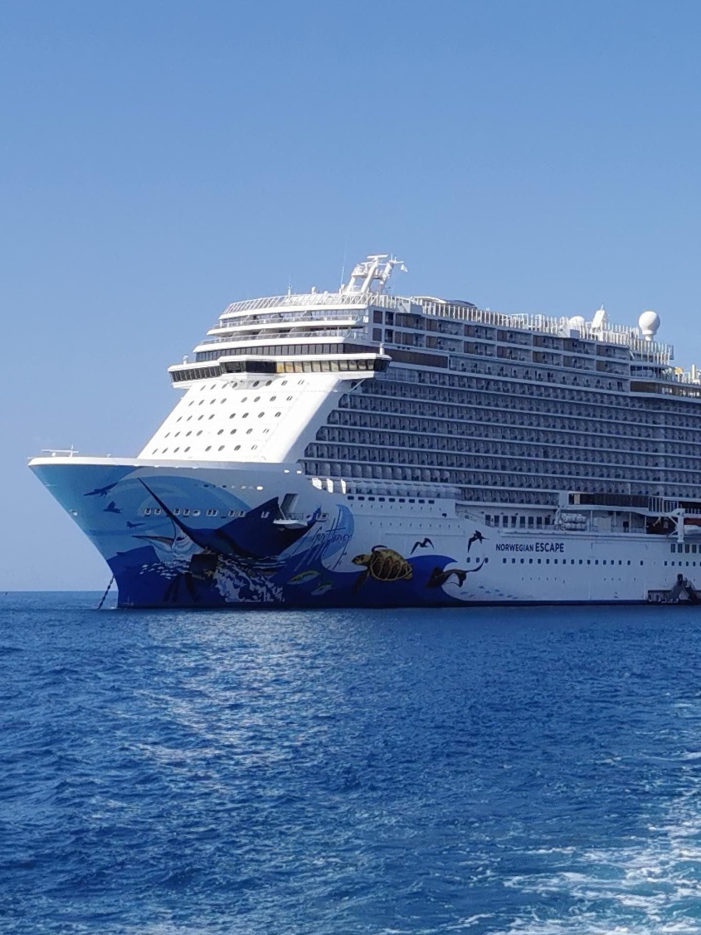 Abgebildet ist das Kreuzfahrtschiff Norwegian Escape.