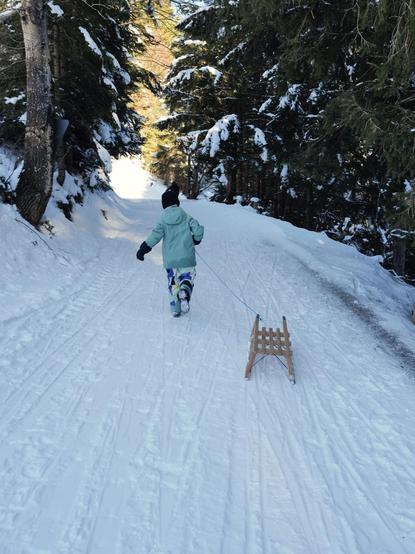 Im Winterwald