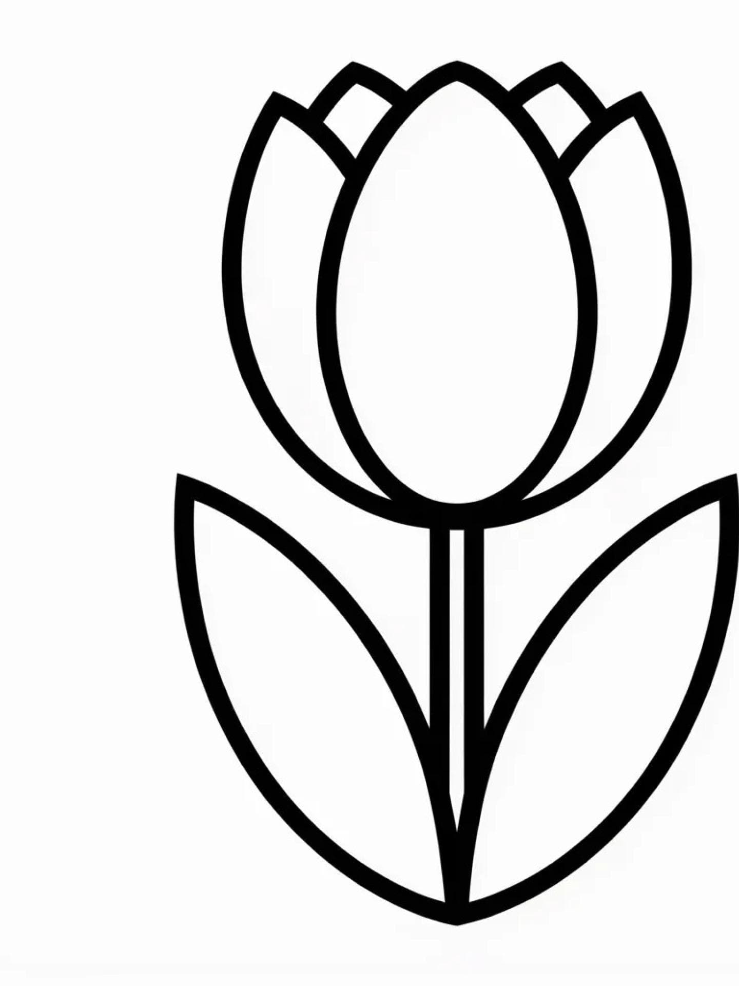 Ausmalbild Frühling Tulpe 