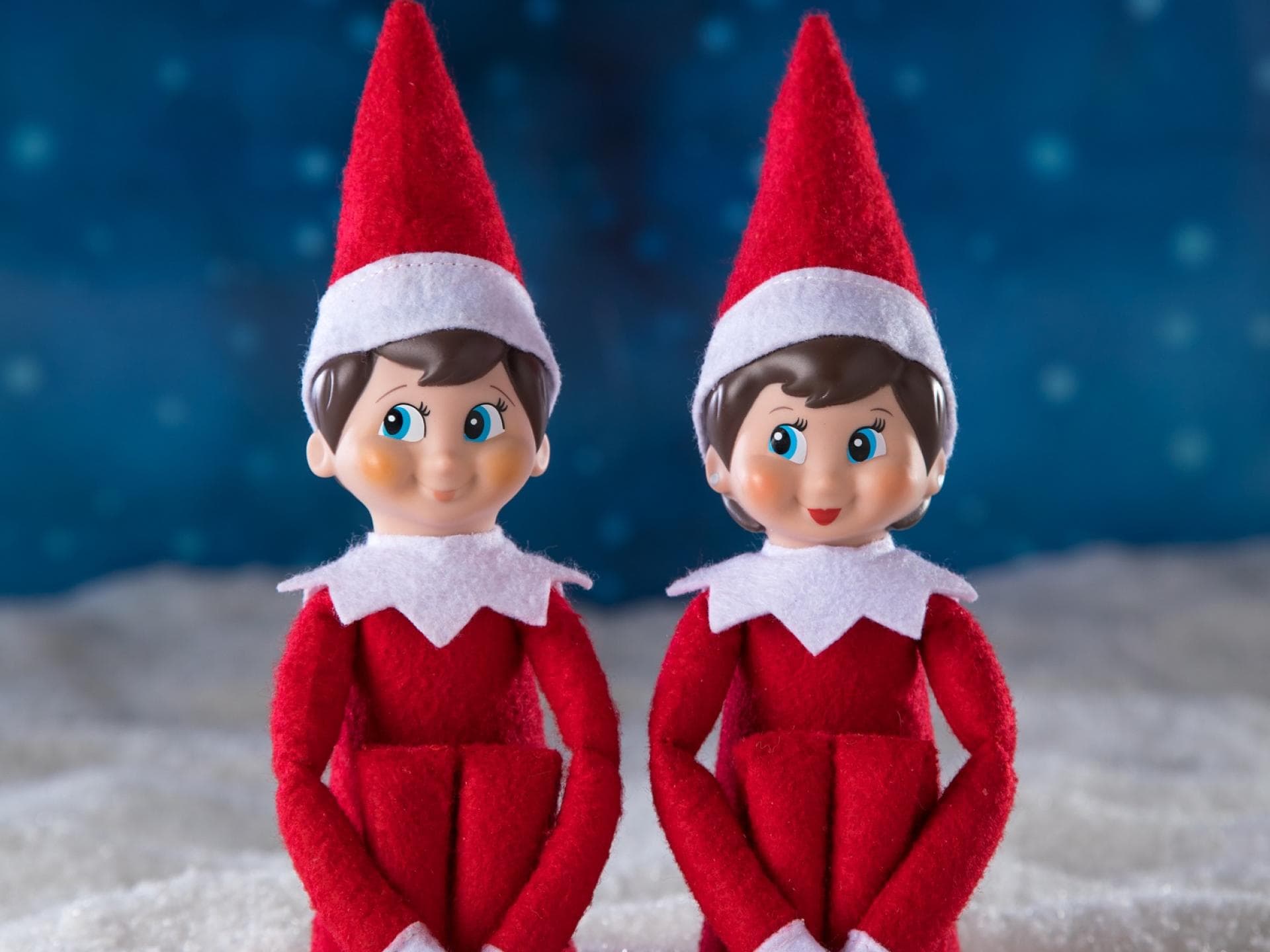 Elf on the Shelf Elf on the Shelf